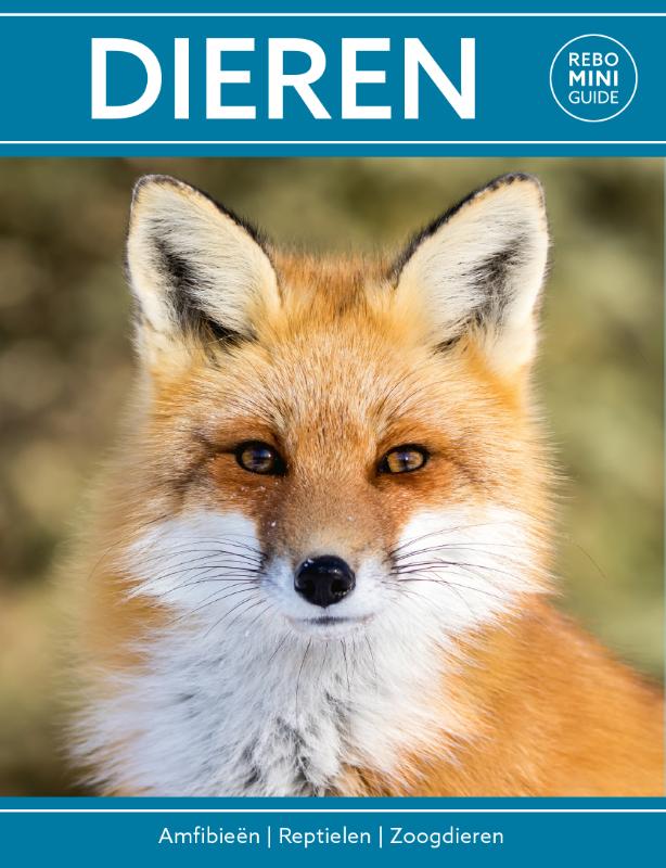 REBO MINI GUIDE - DIEREN