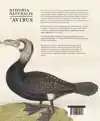 HISTORIA NATURALIS: DE AVIBUS