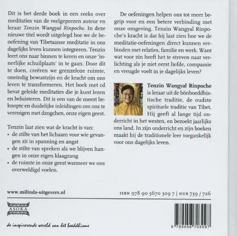 DE STRALENDE GEEST