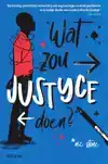 WAT ZOU JUSTYCE DOEN?