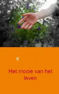 HET MOOIE VAN HET LEVEN