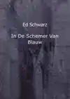 IN DE SCHEMER VAN BLAUW