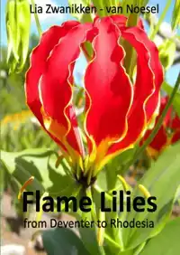 FLAME LILIES