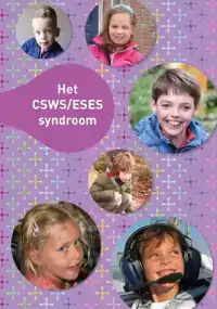 HET CSWS/ESES SYNDROOM