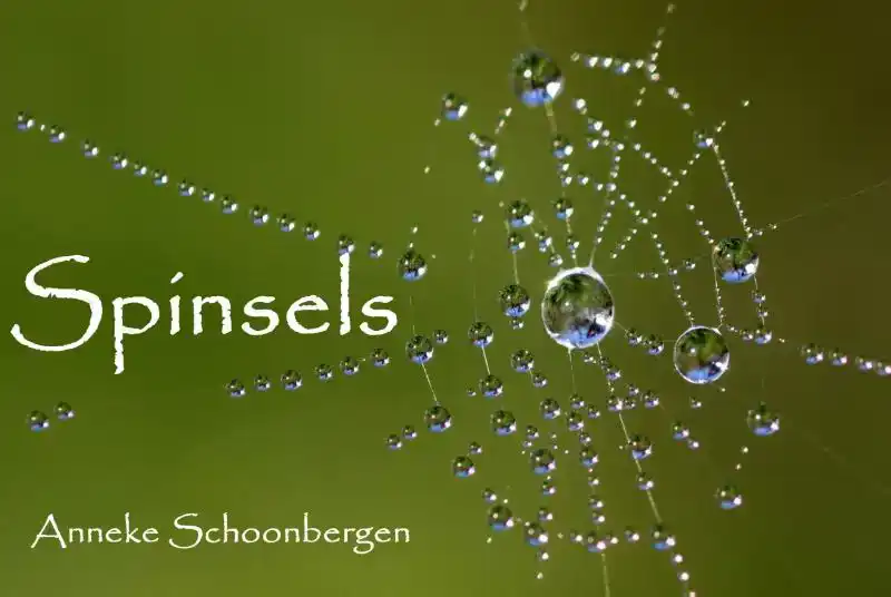 SPINSELS