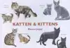 KATTEN & KITTENS