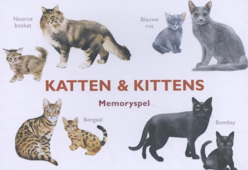 KATTEN & KITTENS
