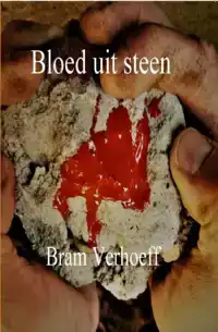 BLOED UIT STEEN