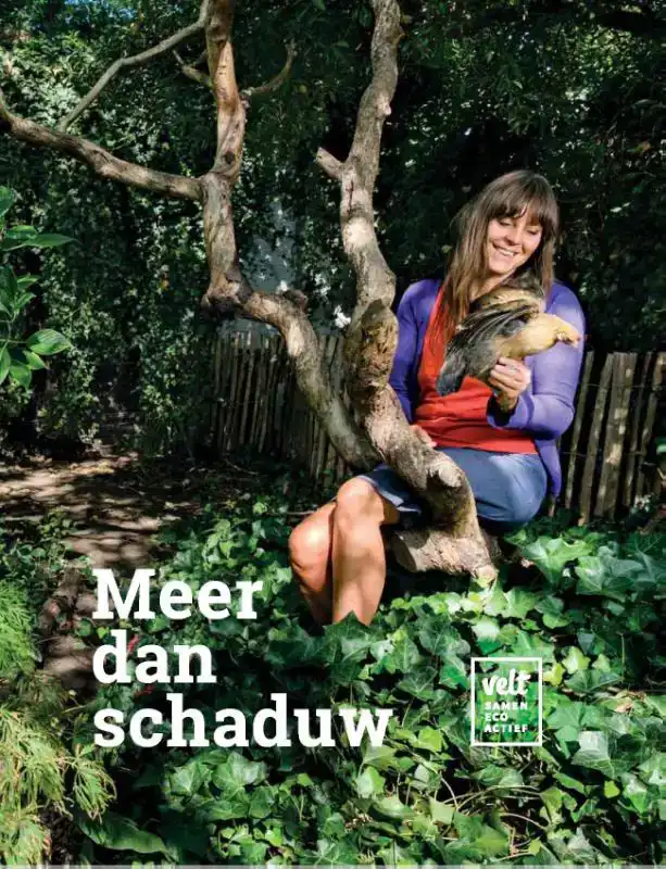MEER DAN SCHADUW