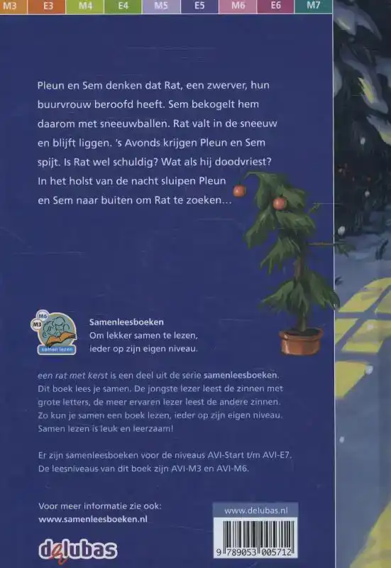 EEN RAT MET KERST