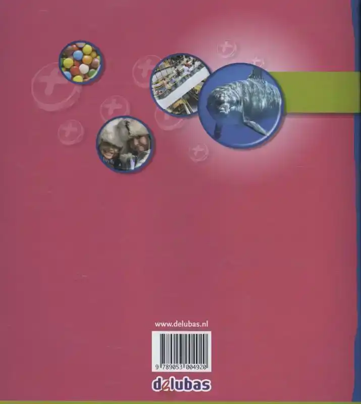 PLUSWERKBOEK E4