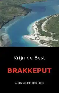 BRAKKEPUT