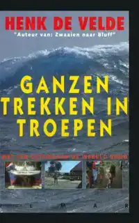 GANZEN TREKKEN IN TROEPEN