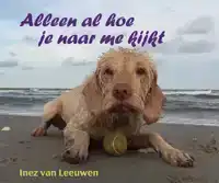 ALLEEN AL HOE JE NAAR ME KIJKT