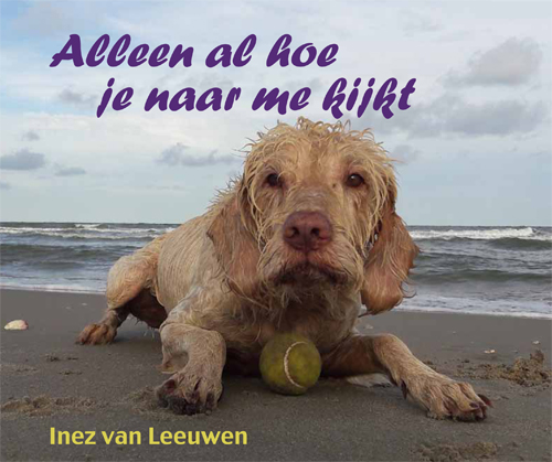 ALLEEN AL HOE JE NAAR ME KIJKT