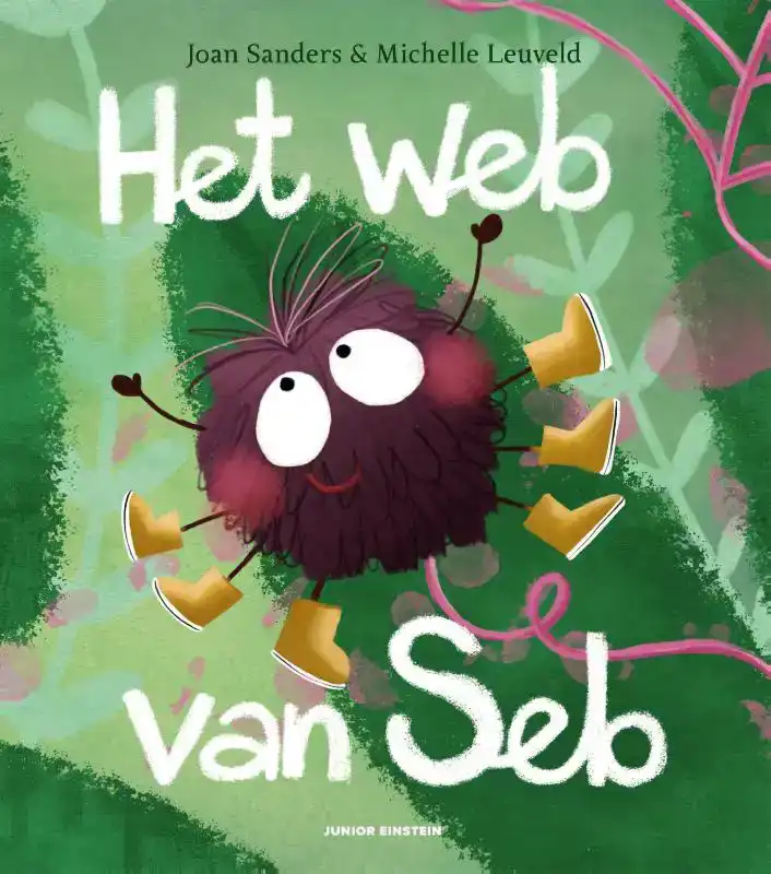 HET WEB VAN SEB