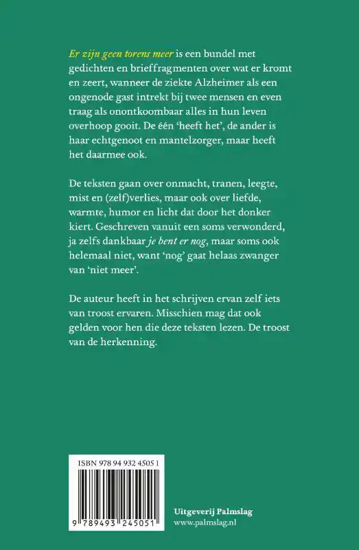 ER ZIJN GEEN TORENS MEER