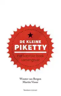 DE KLEINE PIKETTY
