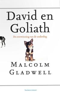 DAVID EN GOLIATH