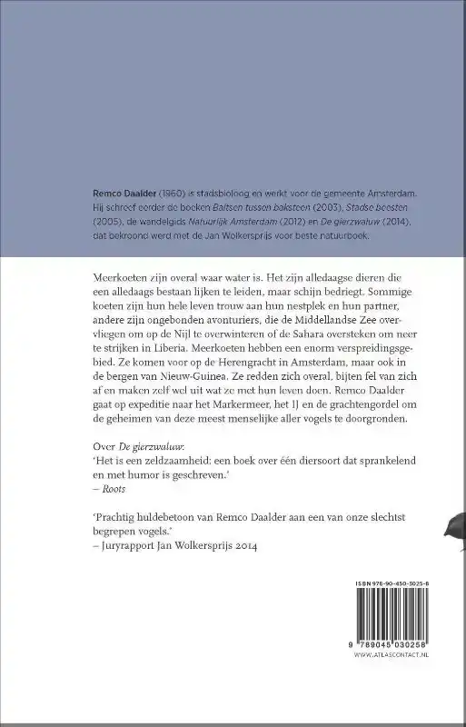 DE MEERKOET