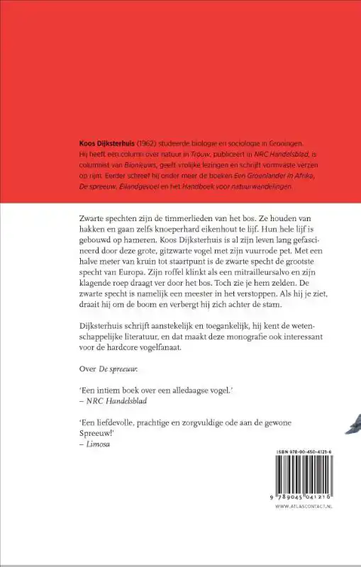 DE ZWARTE SPECHT