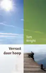 VERRAST DOOR HOOP