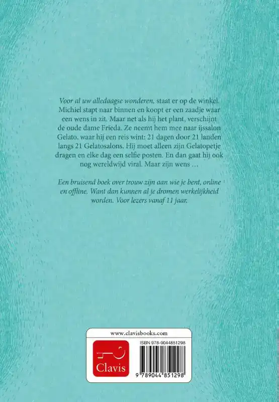 DE WENS VAN ICE CREAM BOY