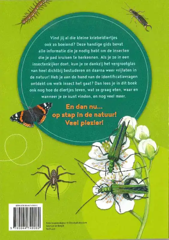 DE LEUKSTE INSECTENGIDS VOOR KIDS