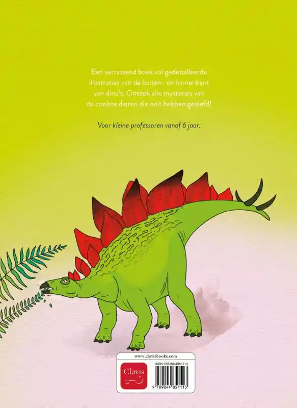 DINO'S VANBINNEN EN VANBUITEN