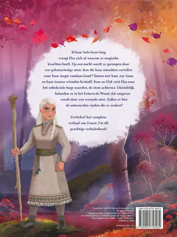 DISNEY FROZEN 2 GROOT VERHALENBOEK