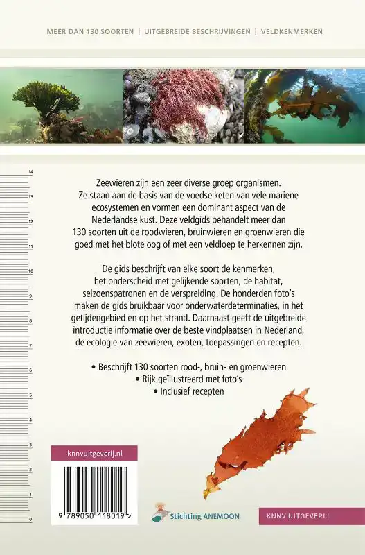 VELDGIDS ZEEWIEREN
