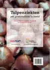 TULPENZIEKTEN