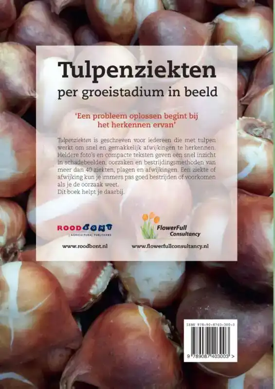 TULPENZIEKTEN