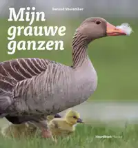 MIJN GRAUWE GANZEN