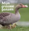 MIJN GRAUWE GANZEN