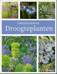 DROOGTEPLANTEN