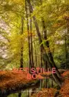 HET STILLE BOS