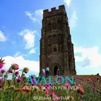 AVALON, ROSES OF ENGLAND