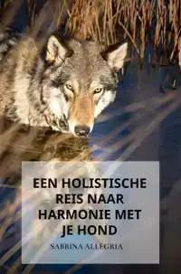 EEN HOLISTISCHE REIS NAAR HARMONIE MET JE HOND