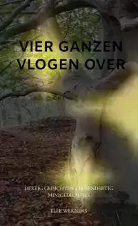 VIER GANZEN VLOGEN OVER