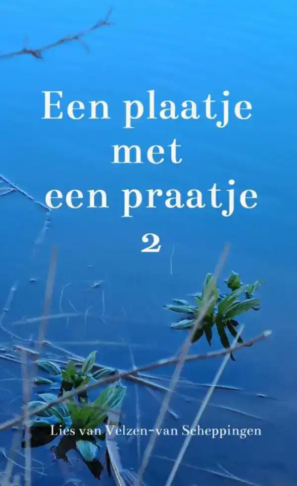 EEN PLAATJE MET EEN PRAATJE 2