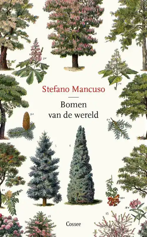 BOMEN VAN DE WERELD