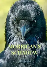 MORRIGAN'S SCHADUW