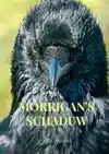 MORRIGAN'S SCHADUW