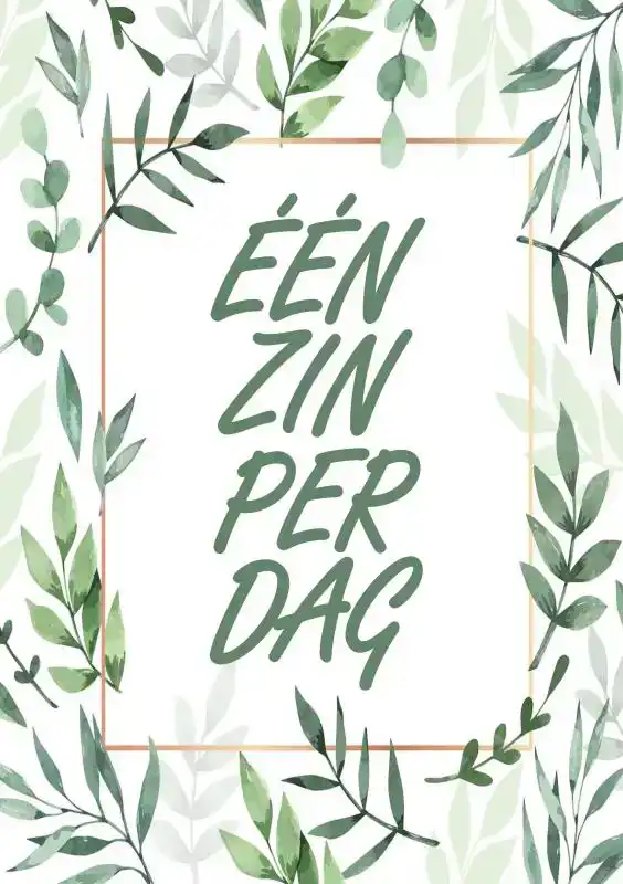 BOEK CADEAU - DANKBAARHEIDS DAGBOEK / DANKBAARHEIDSDAGBOEK -