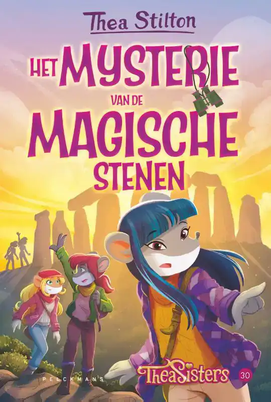 HET MYSTERIE VAN DE MAGISCHE STENEN