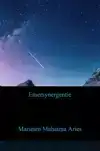 EMERSYNERGENTIE