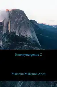 EMERSYNERGENTIE 2