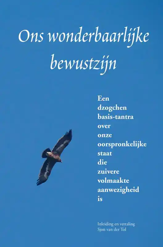 ONS WONDERBAARLIJKE BEWUSTZIJN