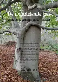 DE WANDELENDE TAK